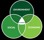 Understanding the basics of sustainability - A beginner's guide to the three pillars of sustainability and how they work together.