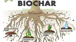 Biochar